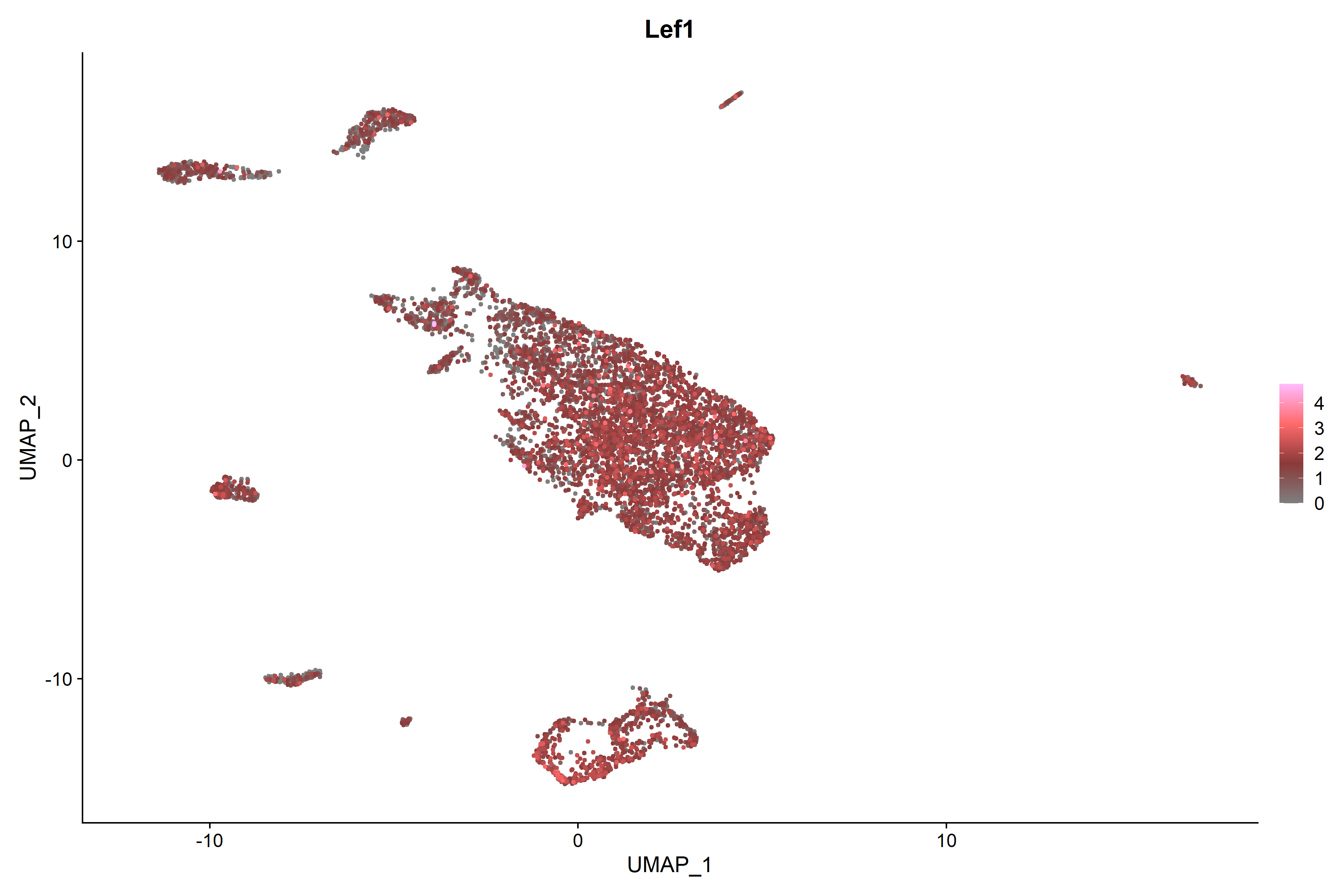 P0 scATAC-seq Lef1 RNA UMAP expression plot