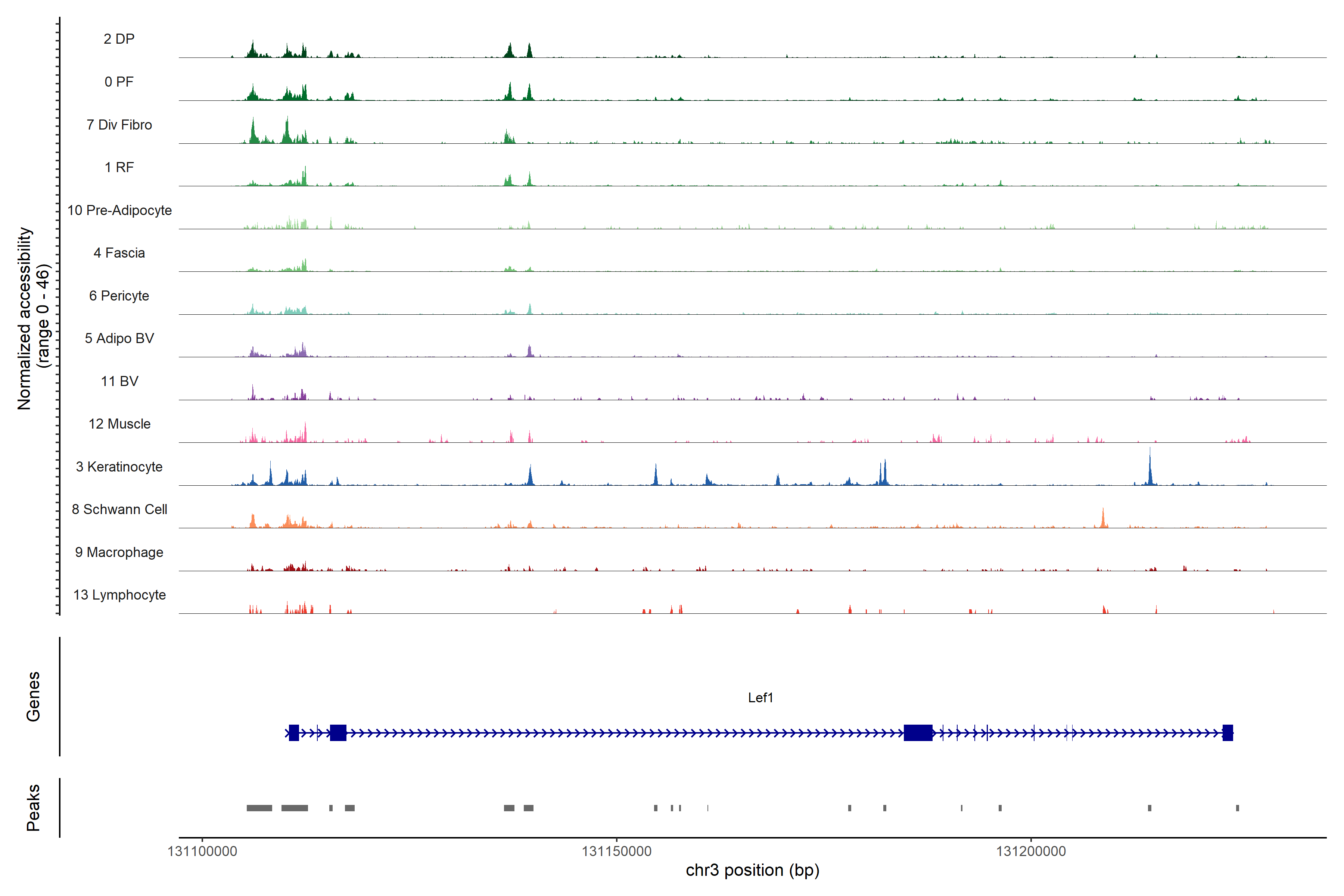 Lef1 ATAC accessibility plot