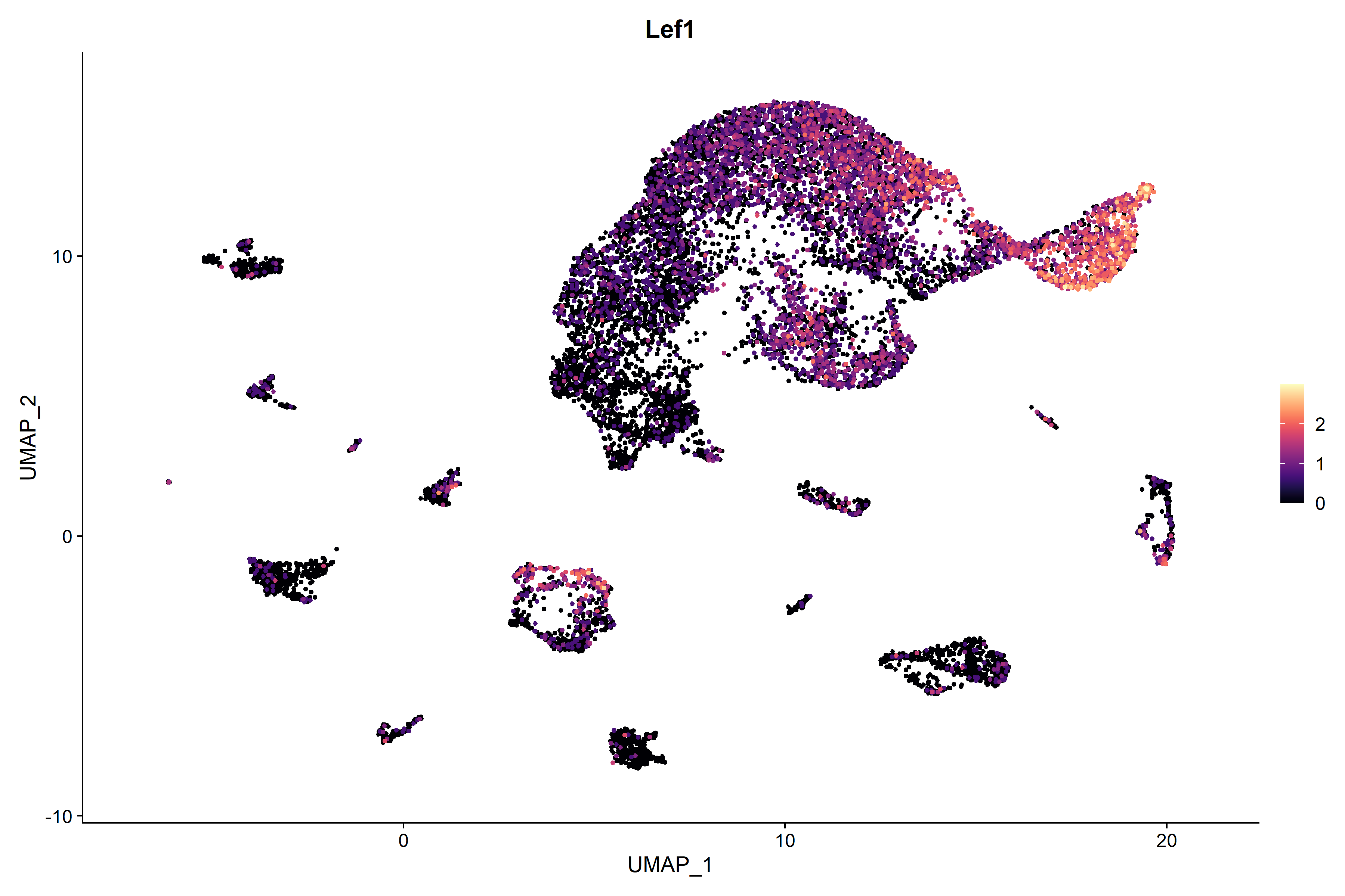 P0 sRNA-seq Lef1 RNA UMAP expression plot