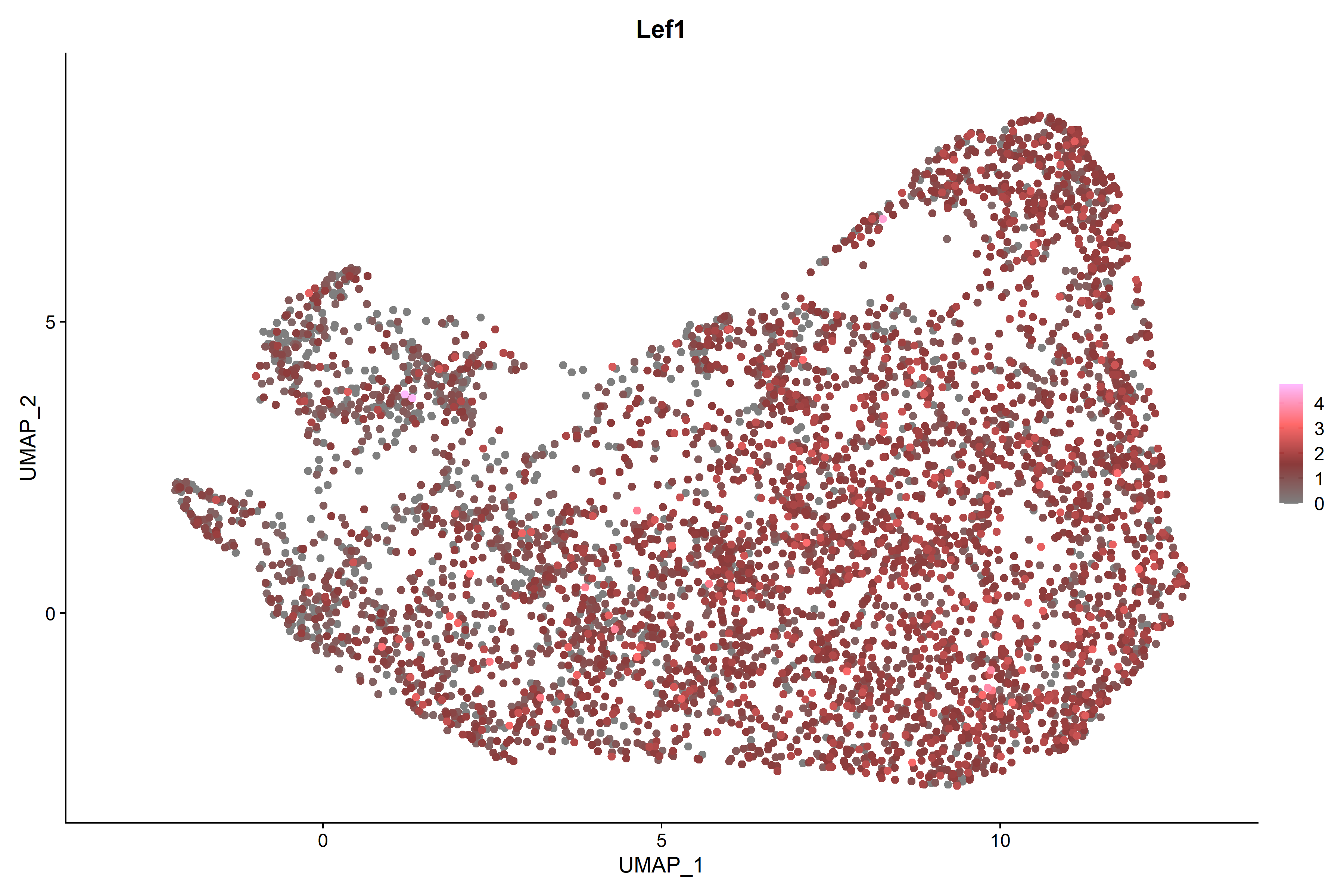 P0 scATAC-seq Lef1 RNA UMAP expression plot