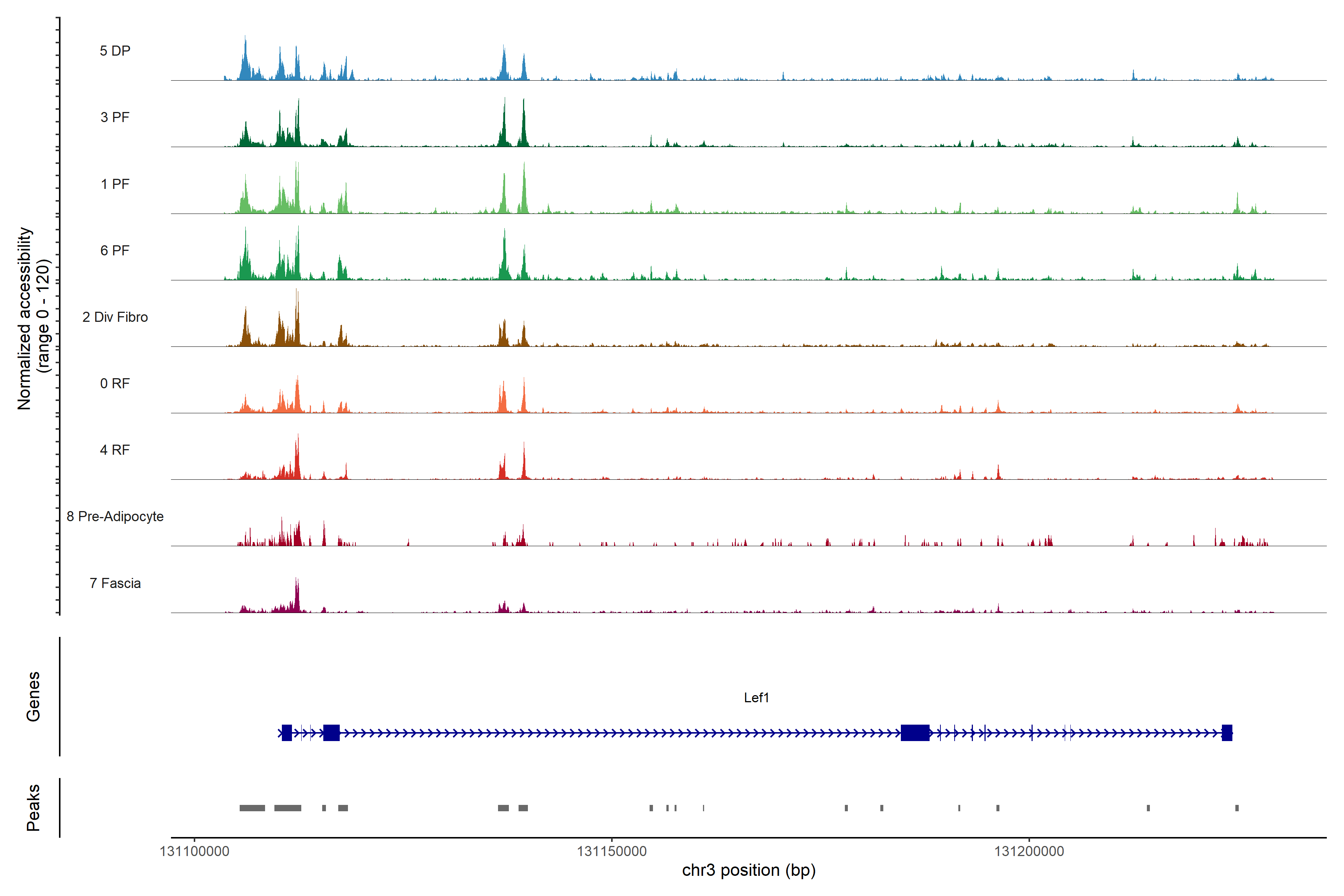 Lef1 ATAC accessibility plot