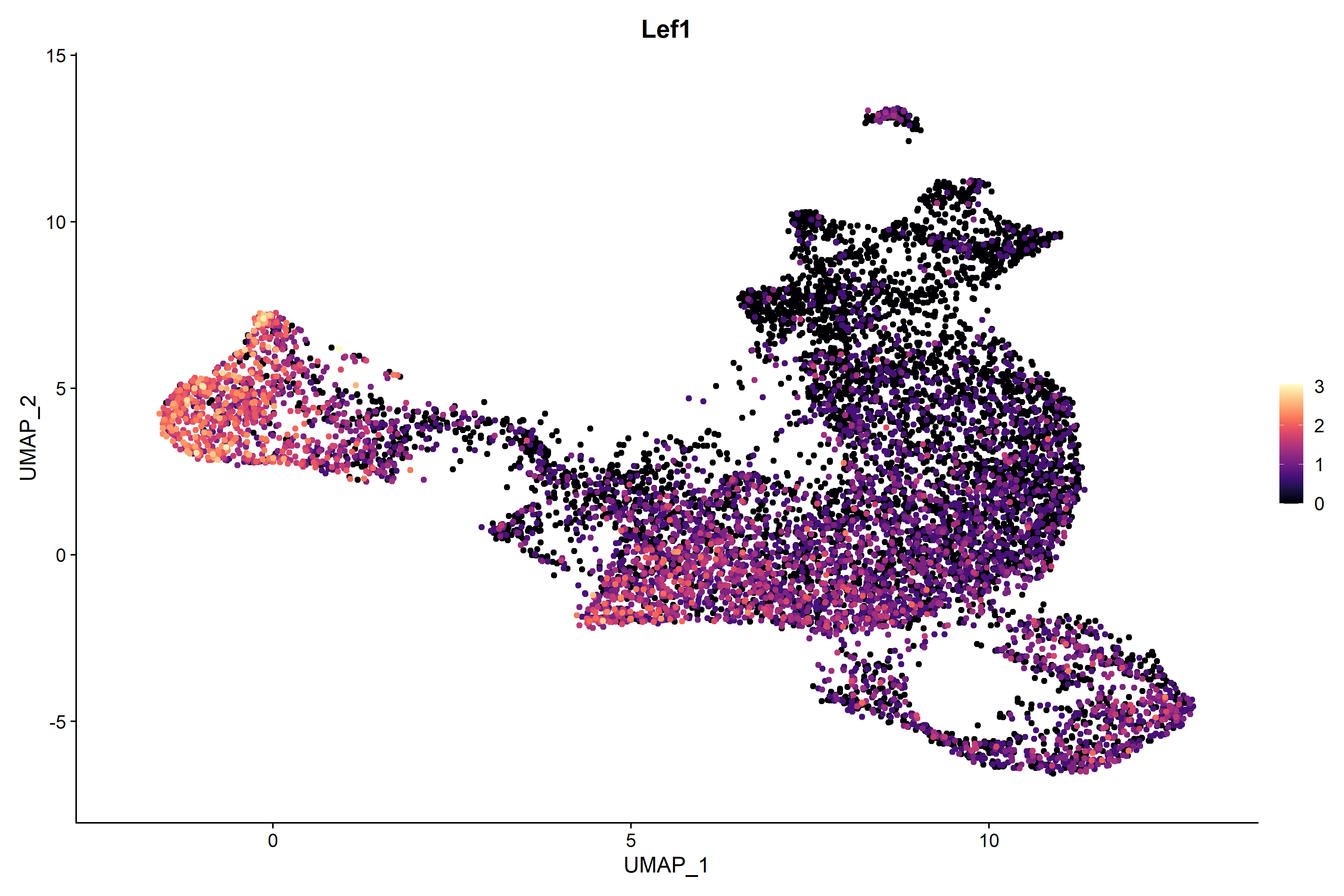 P0 sRNA-seq Lef1 RNA UMAP expression plot